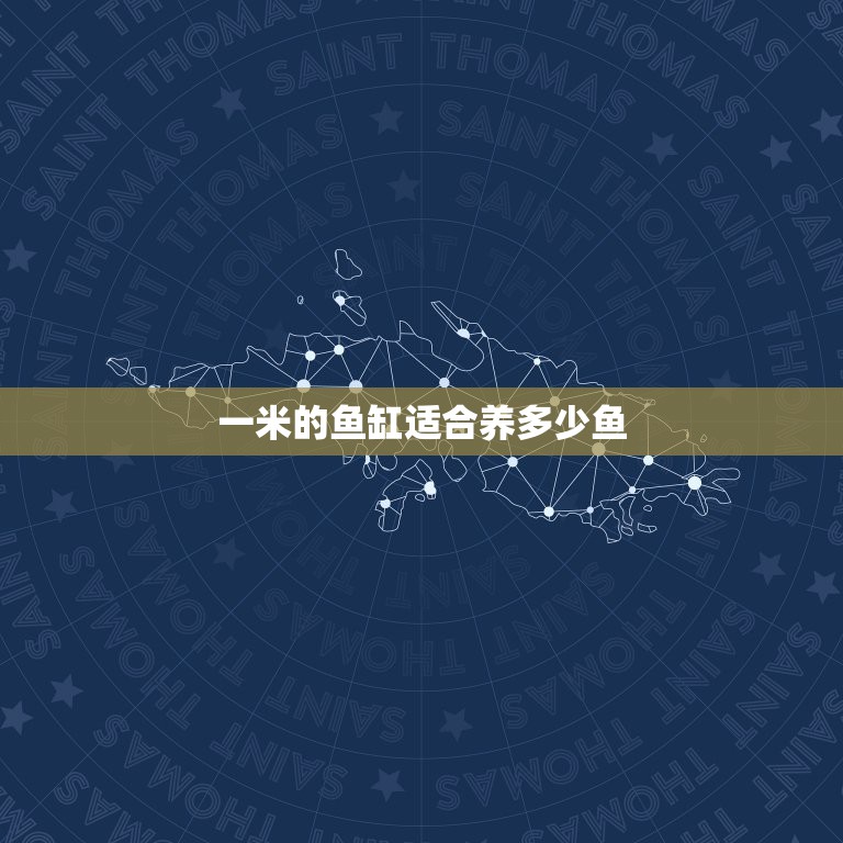 一米的鱼缸适合养多少鱼，1米的鱼缸 能养什么鱼？ 小型的话要多少条阿~