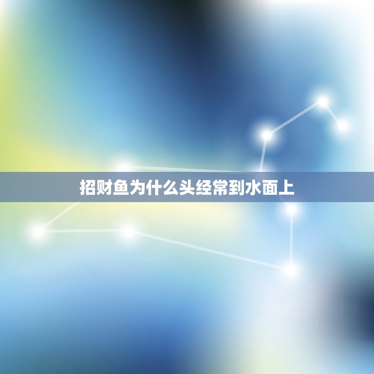 招财鱼为什么头经常到水面上，招财鱼经常浮上水面换气是怎么回事