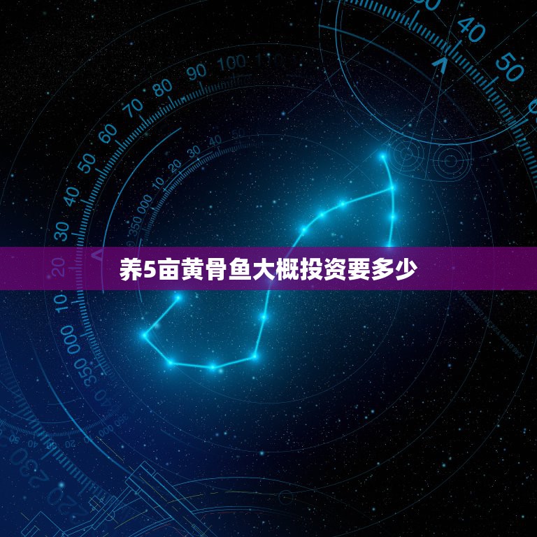 养5亩黄骨鱼大概投资要多少，一亩面积能养多少斤黄骨鱼