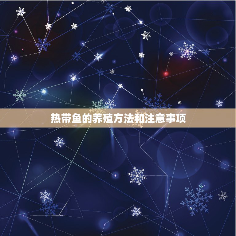 热带鱼的养殖方法和注意事项，适合家里的室内水族箱养或种的水生植物有哪些