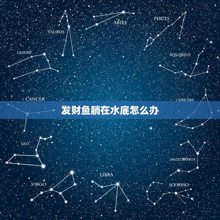 发财鱼躺在水底怎么办，发财鱼躺在鱼缸底是什么病？求帮忙？