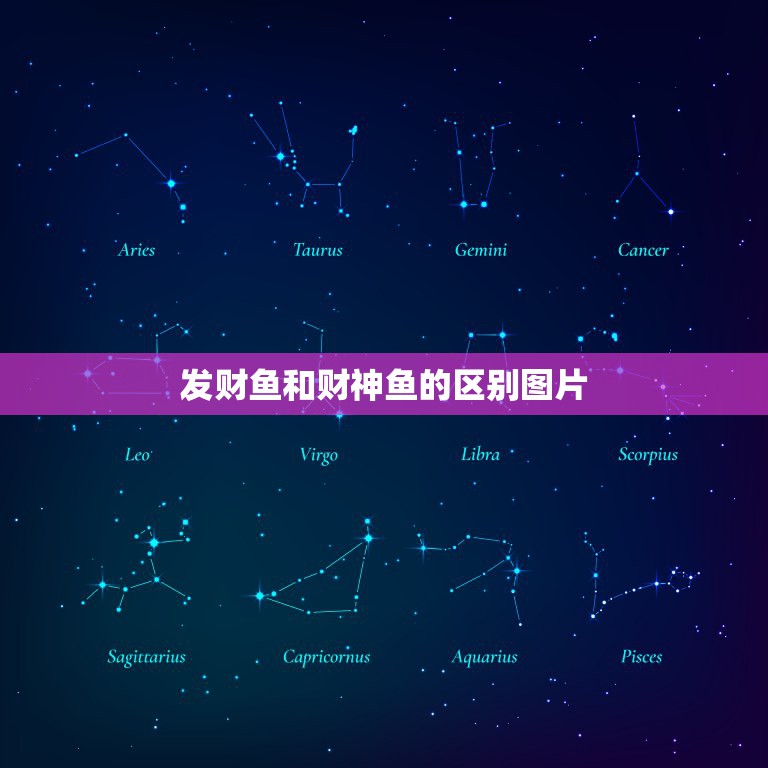发财鱼和财神鱼的区别图片，标准发财鱼长什么样