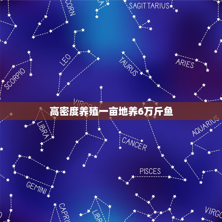 高密度养殖一亩地养6万斤鱼，一亩地能养多少斤鱼？