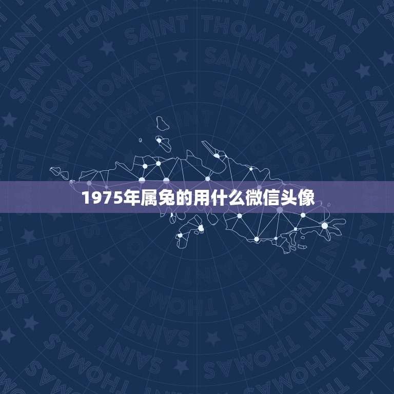 1975年属兔的用什么微信头像，男属兔的人放什么图片最好当头像