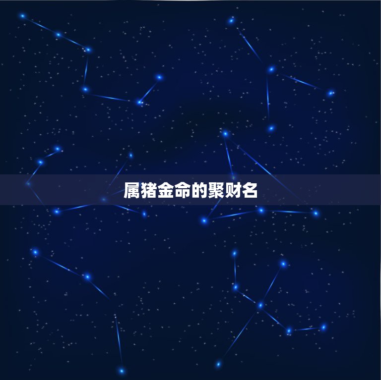 属猪金命的聚财名，属猪的金命人给公司起什么名字好