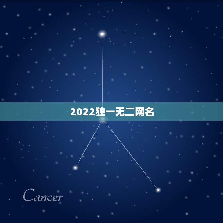 2022独一无二网名，2023独一无二微信网名伤感