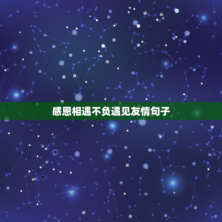 感恩相遇不负遇见友情句子，感恩相遇，不负遇见 友情句子有哪些？