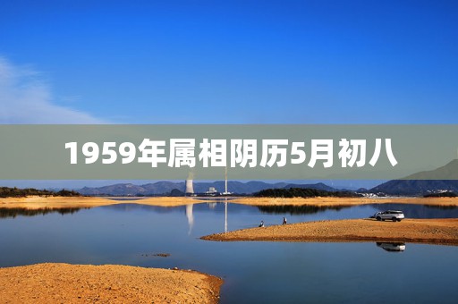 1959年属相阴历5月初八，1959年阴历五月初三，寿命