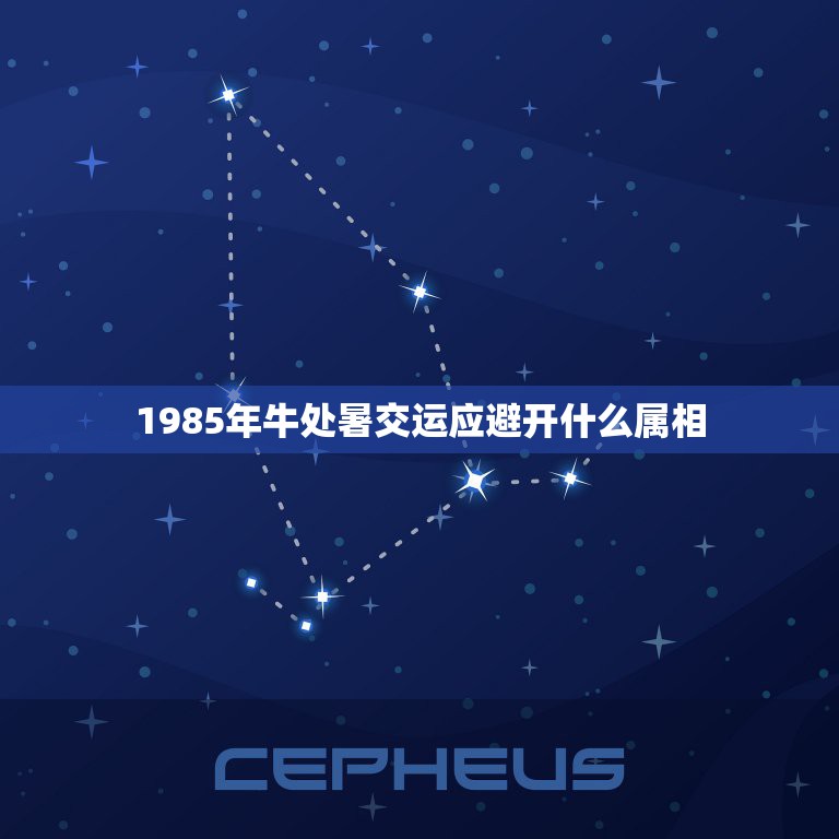 1985年牛处暑交运应避开什么属相，我属牛今年交运，不能见属什么的