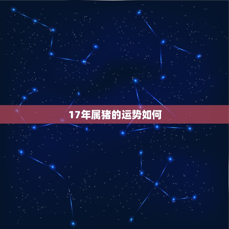 17年属猪的运势如何，属猪人的运势怎么样？