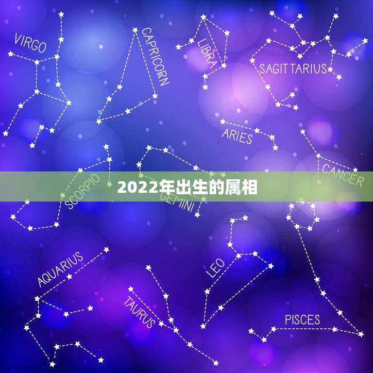 2022年出生的属相，2022年是什么生肖年年