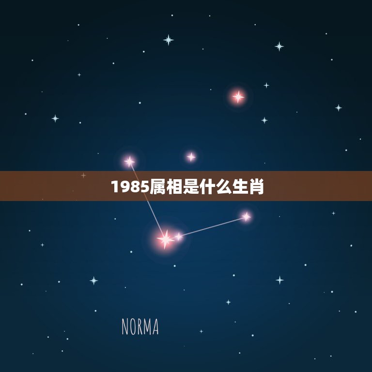 1985属相是什么生肖，33属相是什么生肖