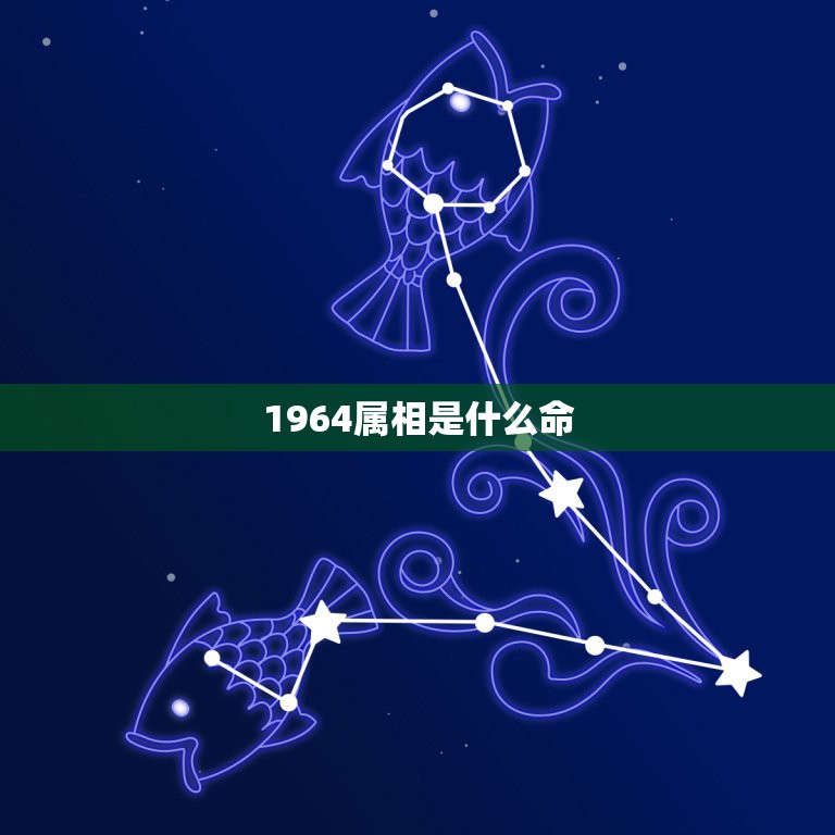 1964属相是什么命