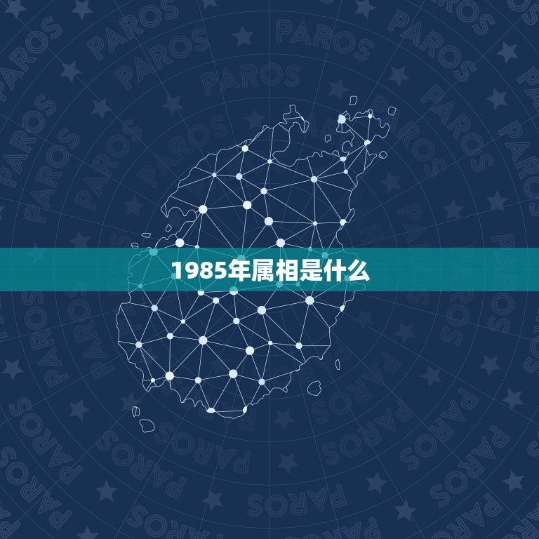 1985年属相是什么