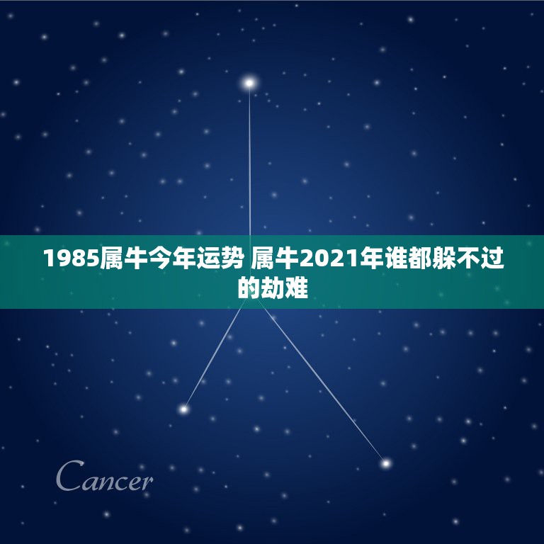 1985属牛今年运势 属牛2021年谁都躲不过的劫难