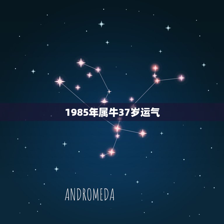 1985年属牛37岁运气 1985年牛在2022年运势