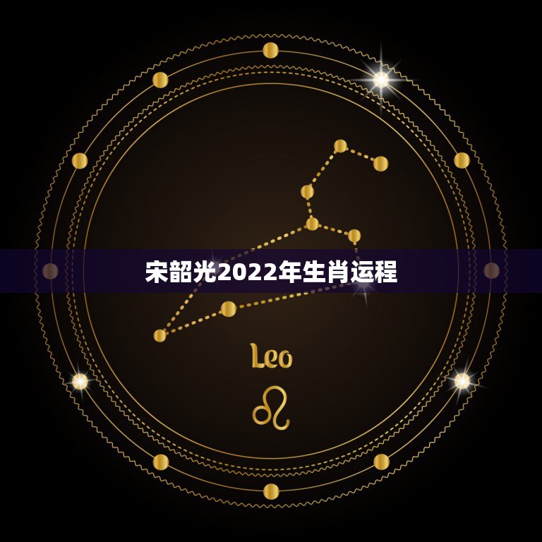 宋韶光2022年生肖运程 宋韶光2022年运势