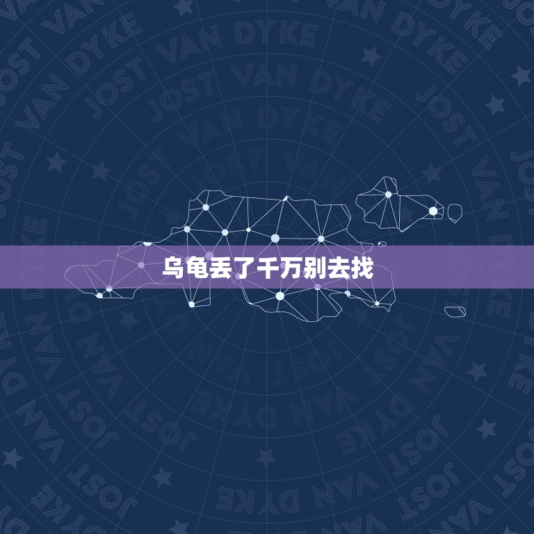 乌龟丢了千万别去找，小乌龟爬不见了 家里东西太多没法找怎么办 会不会死