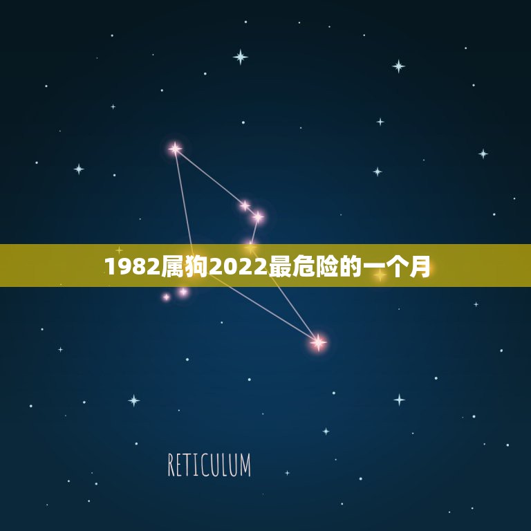 1982属狗2022最危险的一个月，1982属狗的人一生命运如何198