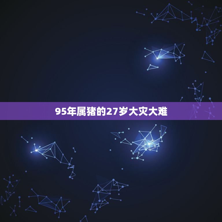 95年属猪的27岁大灾大难，1995年出生的今年运势？