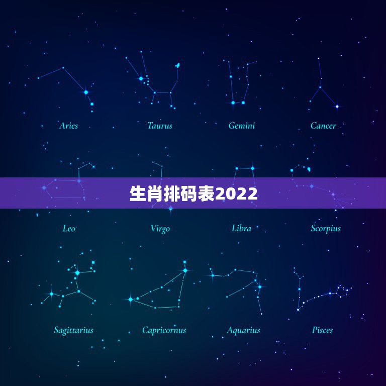 生肖排码表2022，2021年十二生肖排码表