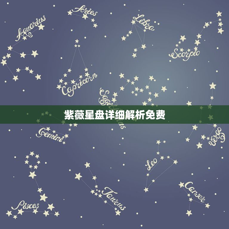 紫薇星盘详细解析免费，求紫薇星盘解析