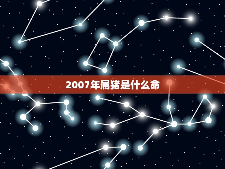 2007年属猪是什么命，2007年属猪什么命