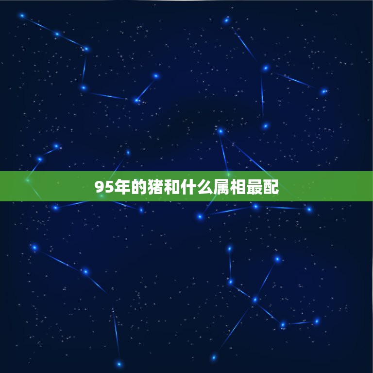 95年的猪和什么属相最配，95年属猪的最佳婚配95年属相婚配表