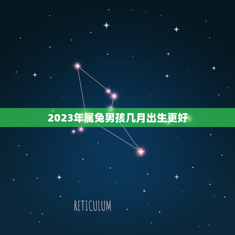 2023年属兔男孩几月出生更好，2023年属兔的宝宝怎么样