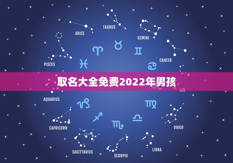 取名大全免费2022年男孩，2022年男孩更佳取名