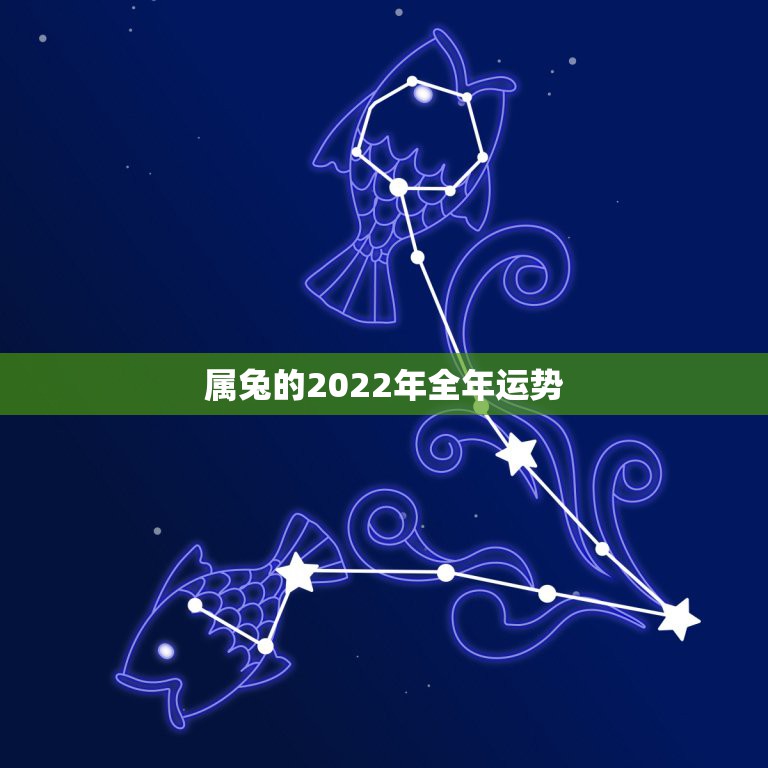 属兔的2022年全年运势，属兔的人2022年的运势及运程每月