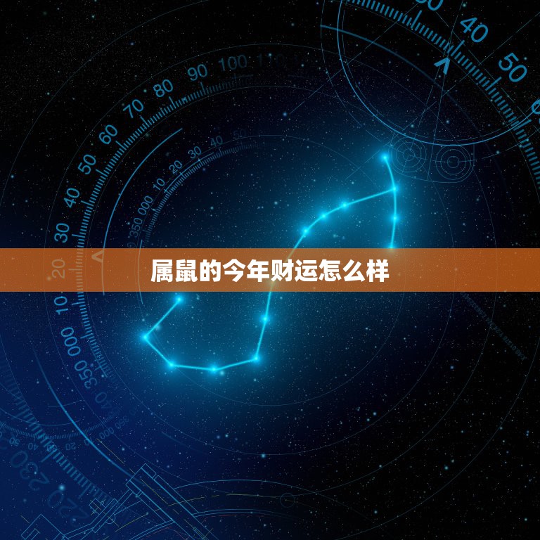 属鼠的今年财运怎么样，属鼠的今年财运怎么样2021年怎么样