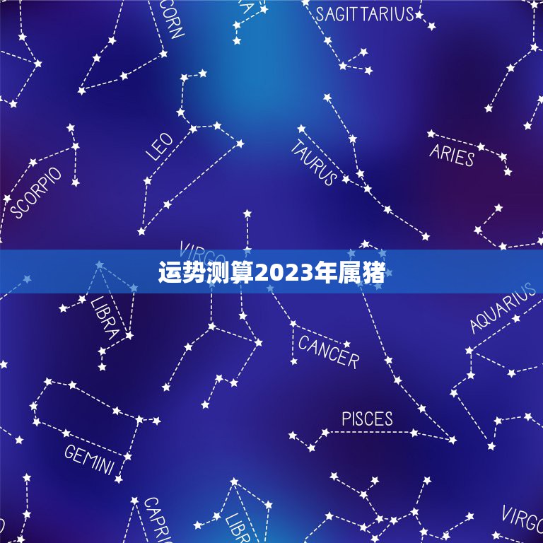 运势测算2023年属猪，2023年属猪的多大