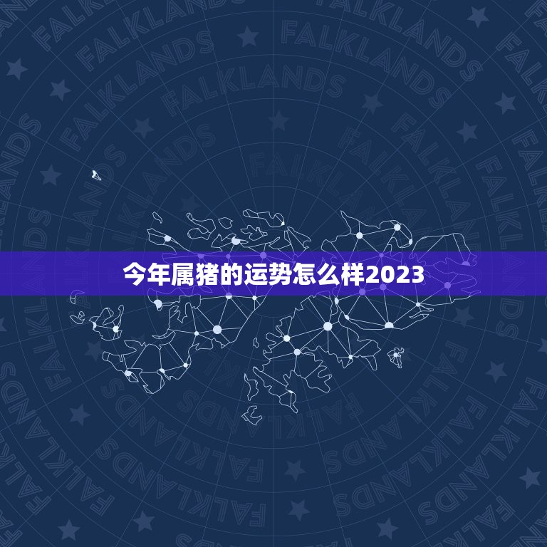 今年属猪的运势怎么样2023，属猪今年的运势怎么样2023