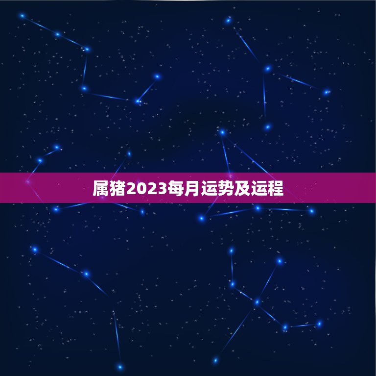 属猪2023每月运势及运程，属猪2023年运势及运程完整版