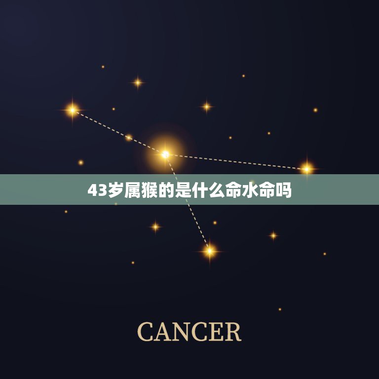 43岁属猴的是什么命水命吗，43岁属猴的是什么命人