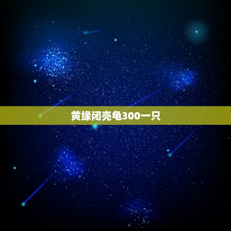 黄缘闭壳龟300一只，黄缘闭壳龟现在想入一只，530元，贵吗，多少钱？