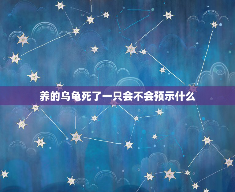 养的乌龟死了一只会不会预示什么，我养了只乌龟两年了，现在死掉了，人家说