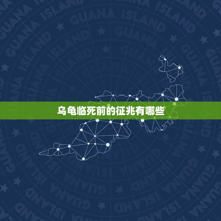 乌龟临死前的征兆有哪些，今天下雨刚才小乌龟突然死了， 上午的征兆老想爬