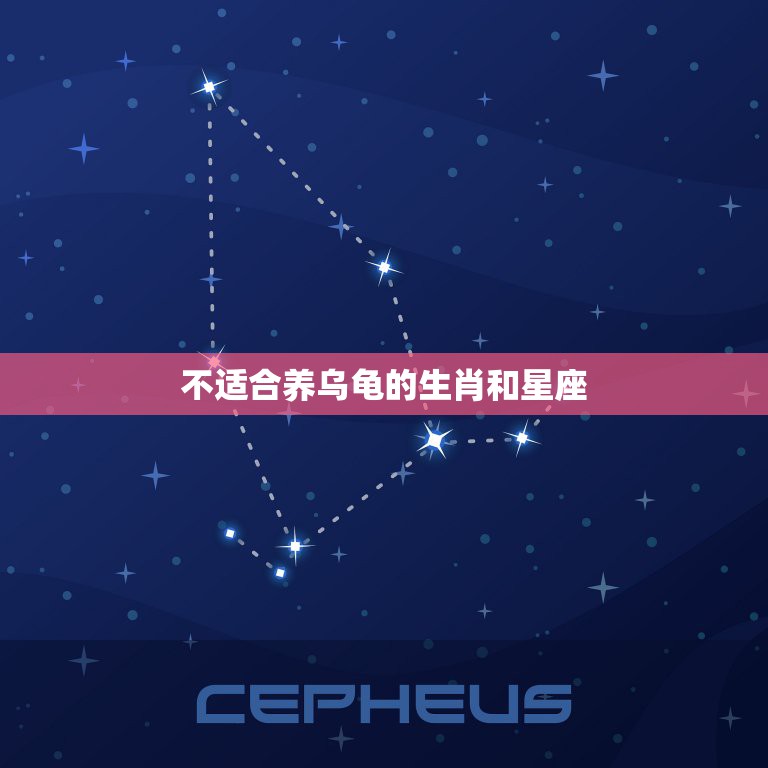 不适合养乌龟的生肖和星座，乌龟十二生肖代表什么动物