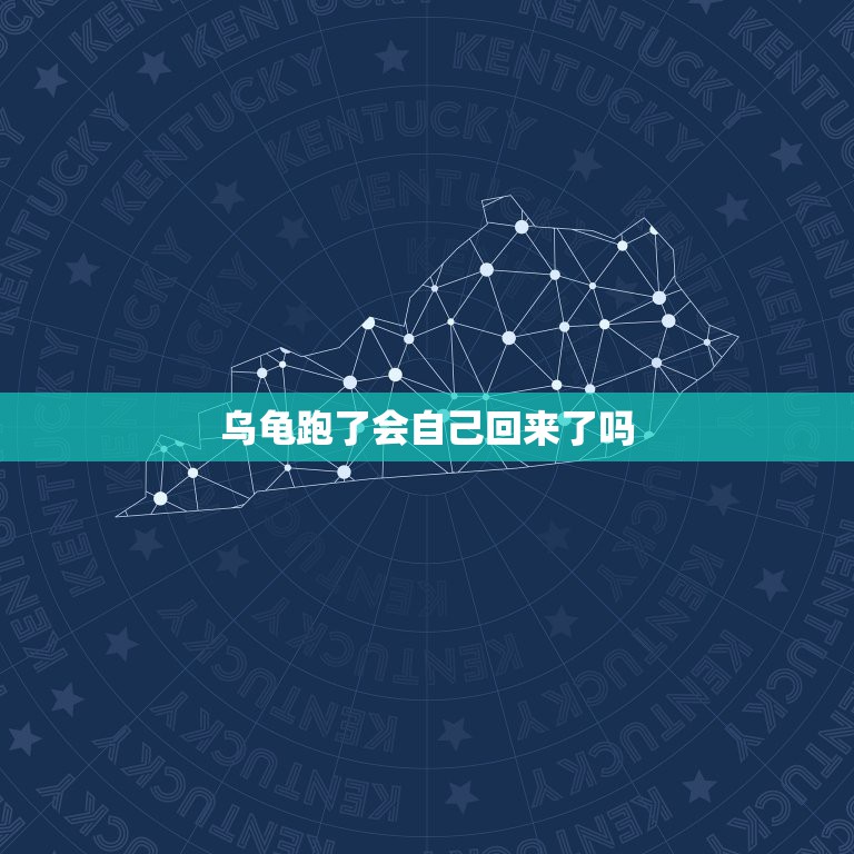 乌龟跑了会自己回来了吗，走了一 年的龟又找回来了，请问好吗？