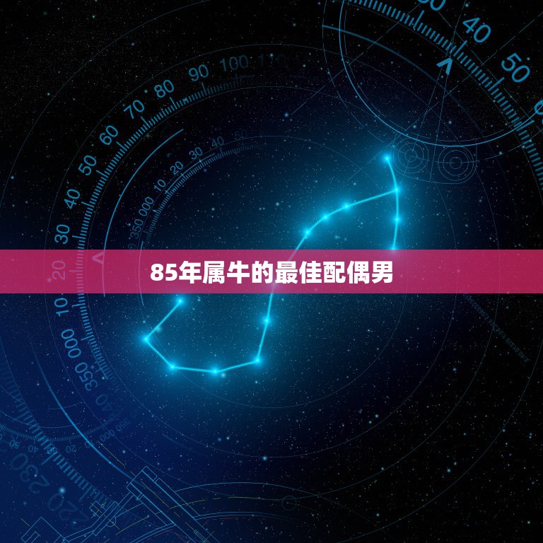 85年属牛的最佳配偶男，85年属牛的最佳配偶提问