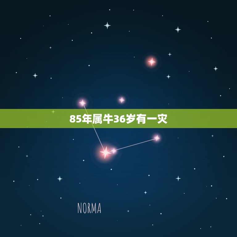 85年属牛36岁有一灾，我是1985年属牛的八月生，背运三年啦快撑不下