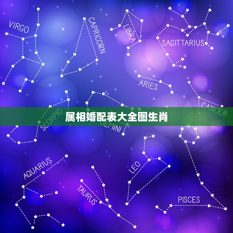 属相婚配表大全图生肖，蛇和什么生肖最配？属蛇的属相婚配表大全