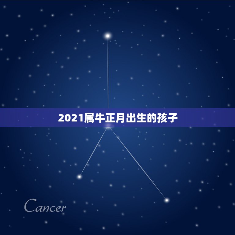 2021属牛正月出生的孩子，2021年正月出生的牛宝好吗？