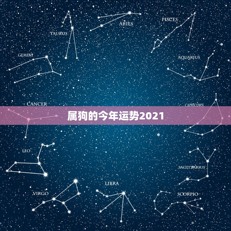 属狗的今年运势2021，2021属狗的全年运势