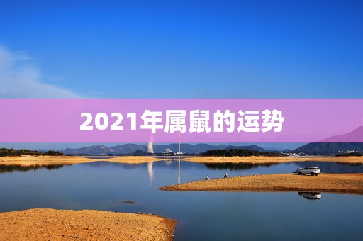 2021年属鼠的运势，麦玲玲2021年运程