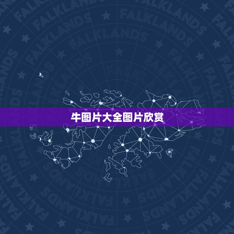 牛图片大全图片欣赏，牛肉主要部位示意图及介绍，越详细越好