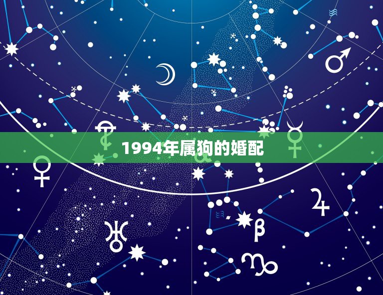 1994年属狗的婚配，1994年属狗的人婚配