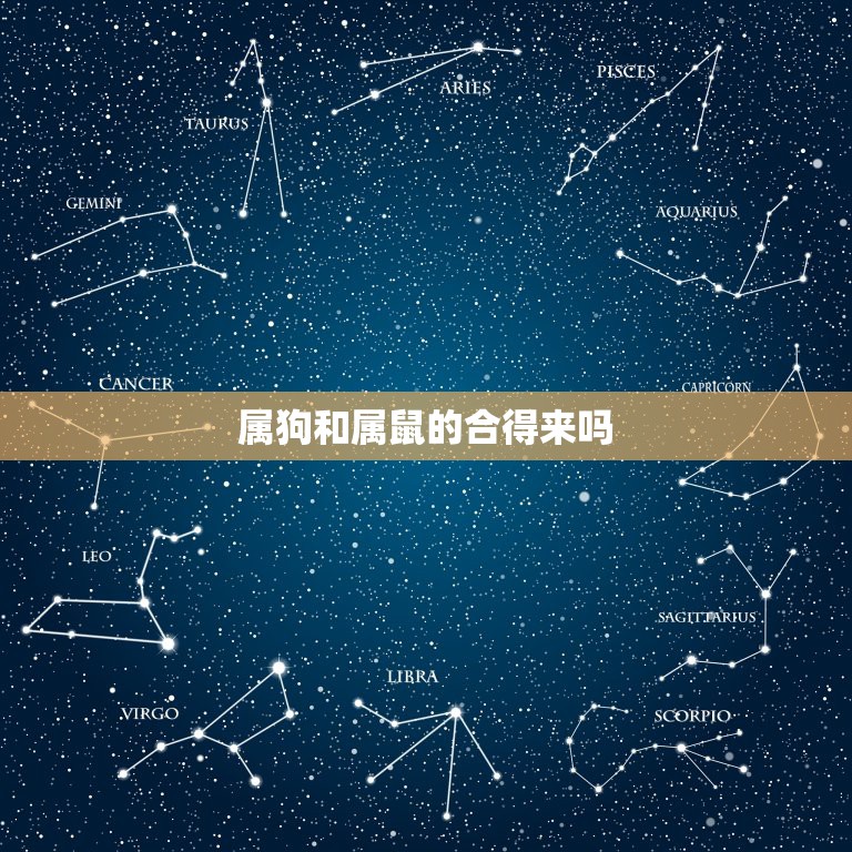 属狗和属鼠的合得来吗，属狗的和属鼠的人相配吗